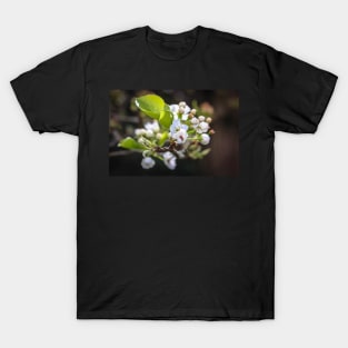 Spring Cluster T-Shirt